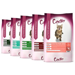 Cadilo Premium kattenvoer probeerverpakkingen Active Outdoor 2 kg