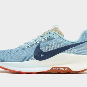 Nike Trailrunningschoenen voor heren Pegasus Trail 5 - Blue- Heren, Blue