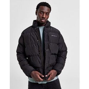 Dickies Scobey Puffer Jacket - Black- Heren, Black